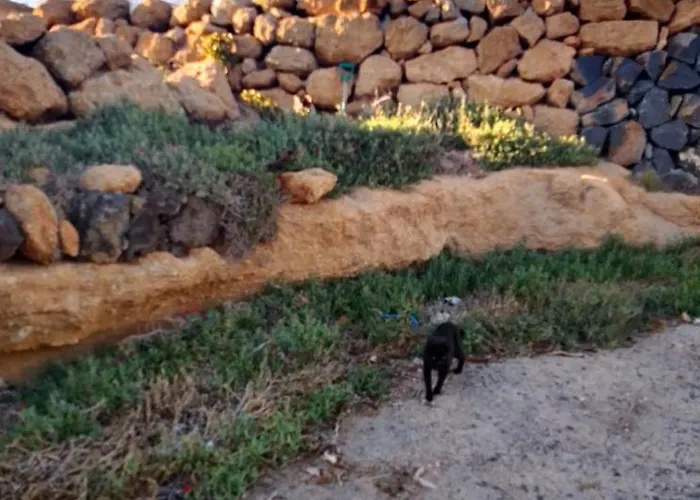 Mary Διαμέρισμα