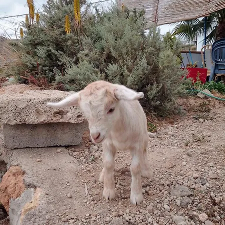 Apartamento Mary San Miguel de Abona