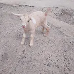 Mary * San Miguel de Abona